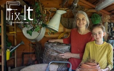 Are Expensive Tools and Old Antiques Really Worth It?